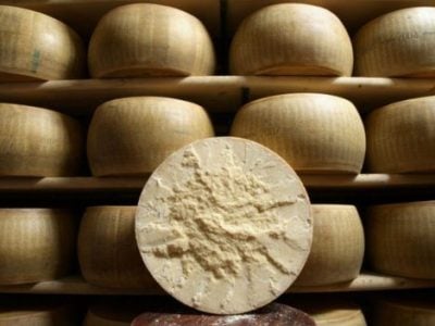 “Unacceptable double tariffs for Parmigiano and Grana Padano”. The Government intervenes with the United States