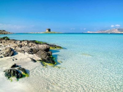 Where to eat tuna and shellfish after a day at La Pelosa, the turquoise gem of Stintino