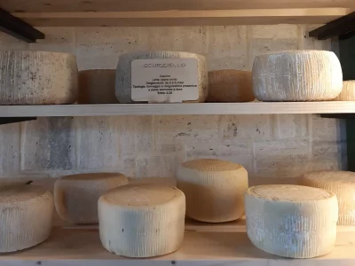 In Paestum there is a cheese shop with a farmhouse overlooking Capri