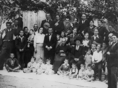 The Ligurian family that has safeguarded the Taggiasca olive for five generations