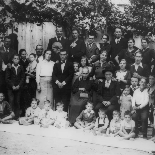 The Ligurian family that has safeguarded the Taggiasca olive for five generations