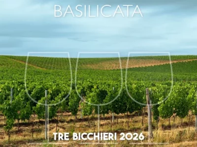 Tre Bicchieri 2026, the best wines of Basilicata awarded by Gambero Rosso