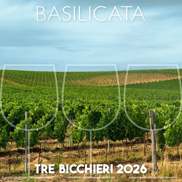 Tre Bicchieri 2026, the best wines of Basilicata awarded by Gambero Rosso