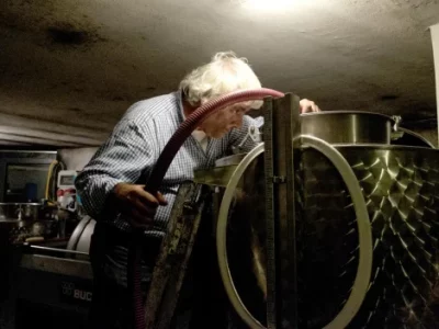Who is the mathematics teacher who emigrated to Giglio Island, the new Winemaker of the Year according to Gambero Rosso