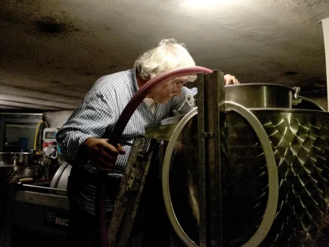 Who is the mathematics teacher who emigrated to Giglio Island, the new Winemaker of the Year according to Gambero Rosso