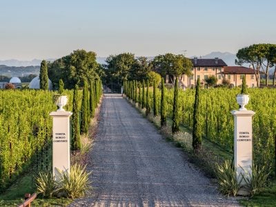 Why Borgo Conventi's Luna di Ponca should be on your radar