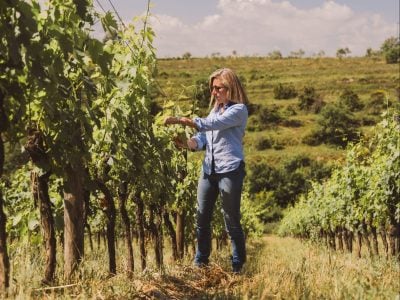 Why it's an organic focus for Bertinga