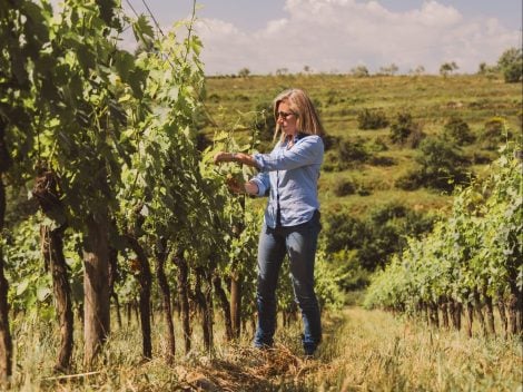 Why it's an organic focus for Bertinga