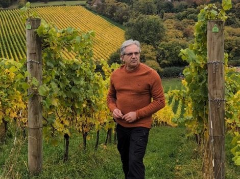 Meet the Italian viticulturist who manages an English vineyard