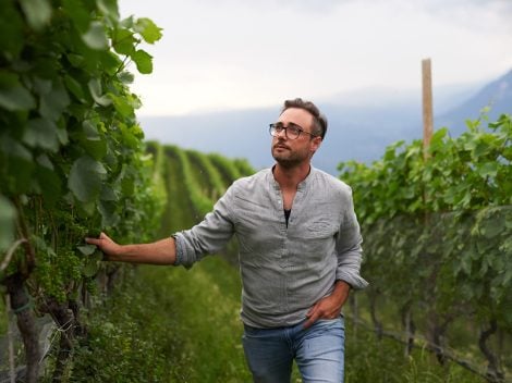 The role mapping played in the creation of one of Alto Adige's best Sauvignon Blancs