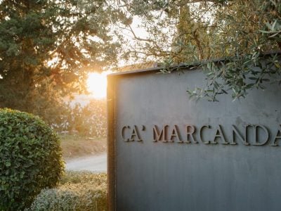 Gaja unveils 2023 vintage of Camarcanda
