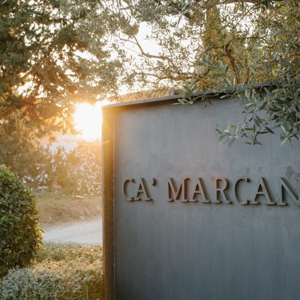 Gaja unveils 2023 vintage of Camarcanda