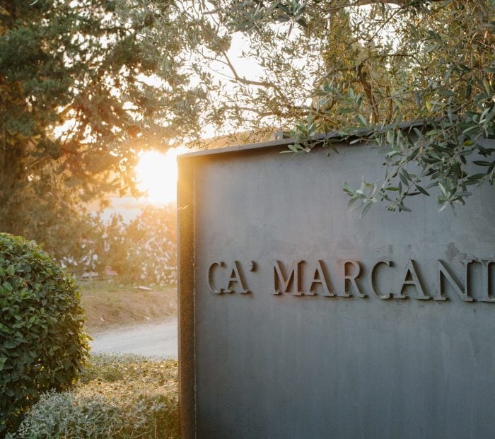 Gaja unveils 2023 vintage of Camarcanda