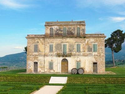 'Old vines are a fundamental part of the identity of this wine'