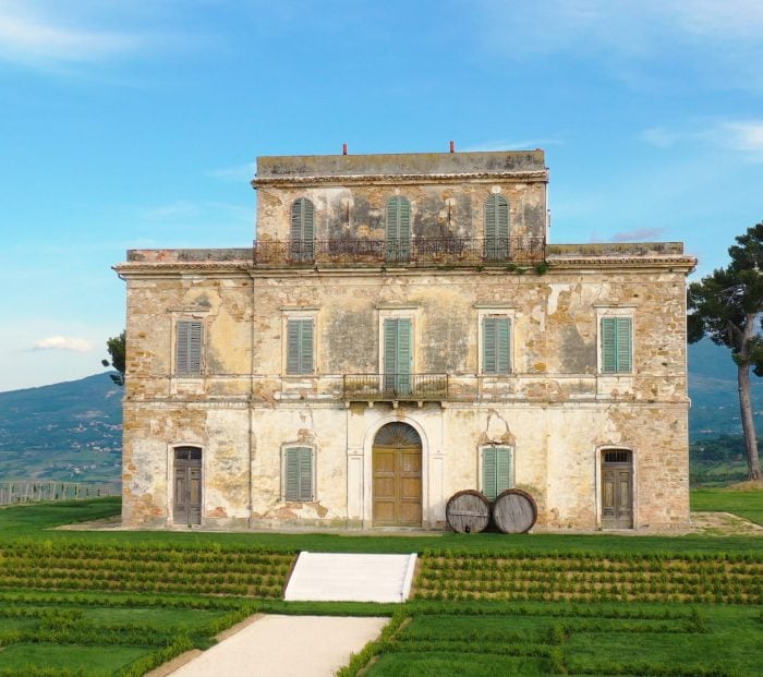 'Old vines are a fundamental part of the identity of this wine'