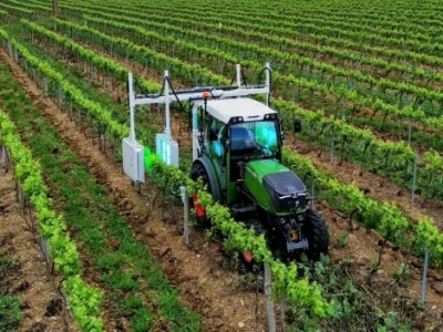 How ultraviolet rays can improve wine