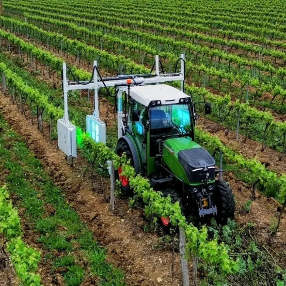 How ultraviolet rays can improve wine