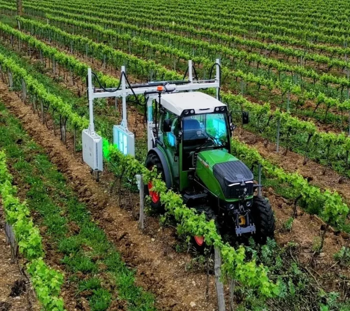 How ultraviolet rays can improve wine