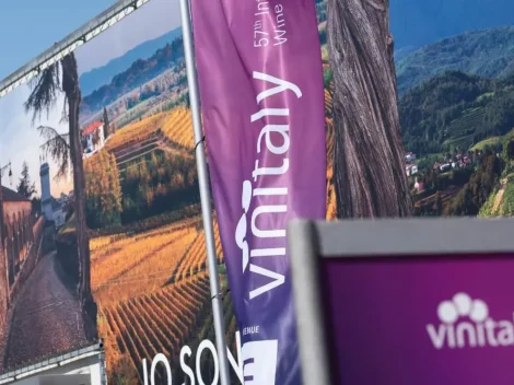 Vinitaly 2026: the future of Italian wine is already being showcased at the trade fair. Here are the highlights of the latest edition