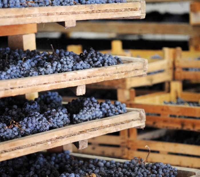 How Amarone changes its skin